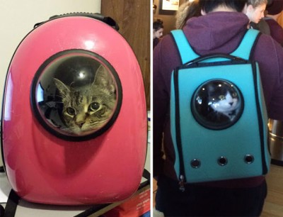 Mochila transforma seu gato em um astronauta 4