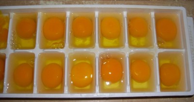 ovos para congelar