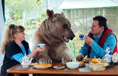 adopted-bear-russian-family-stepan