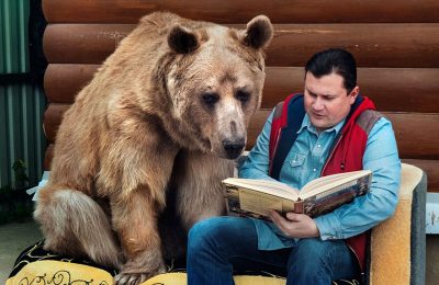 adopted-bear-russian-family-stepan6