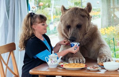 adopted-bear-russian-family-stepan8